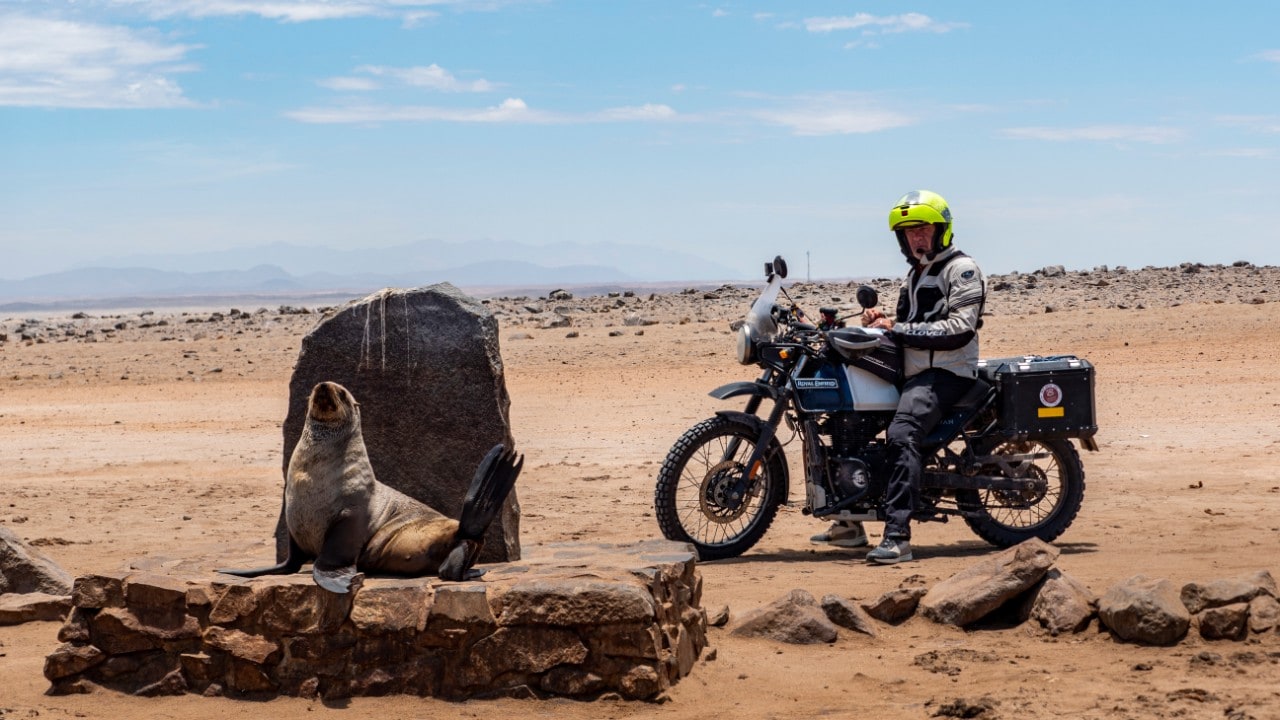 Turismo: Transafrica